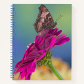 Carnet Un papillon Papilio multicaudatus (Devant)