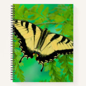Carnet Un papillon Papilio posé (Devant)