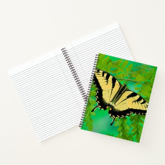 Carnet Un papillon Papilio posé (Intérieur)