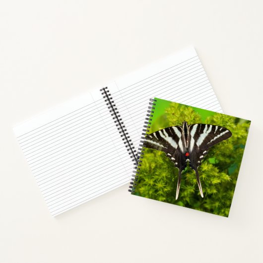 Carnet Un papillon swallowtail nord-américain (Intérieur)
