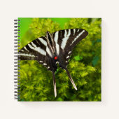 Carnet Un papillon swallowtail nord-américain (Devant)