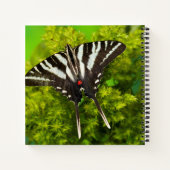 Carnet Un papillon swallowtail nord-américain (Dos)
