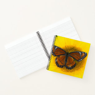Carnet Un papillon vice-roi Limenitis Archippus