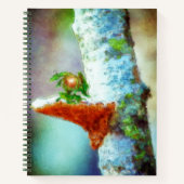 Carnet Un Petit Dragon Dort (Devant)