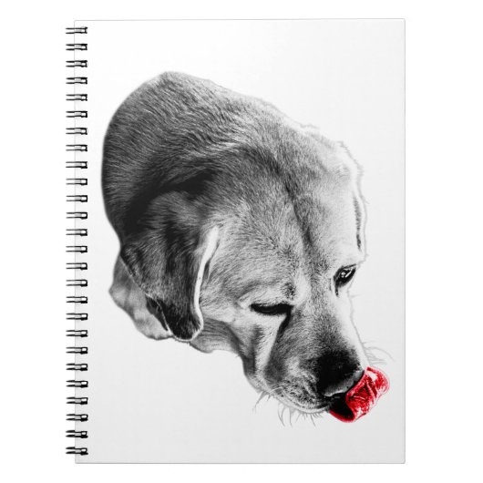 Carnet Un peu d'inspiration (Devant)