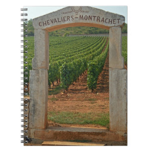 Carnet Un portique en pierre du vignoble