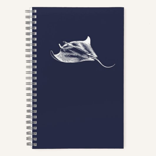 Carnet Un rayon parmi les étoiles (Recto)