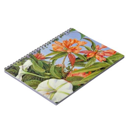 Carnet Un Rhododendrum et Ipomoea de Java (Côté gauche)