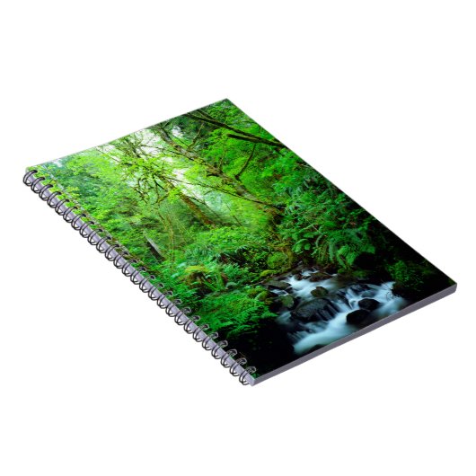 Carnet Un ruisseau dans une forêt ancienne (Côté Droit)