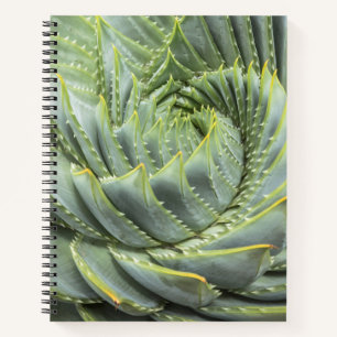 Carnet Un succès vert et blanc