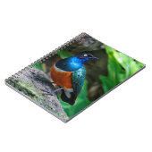 Carnet Un Superbe Songbird Starling Africain (Côté gauche)