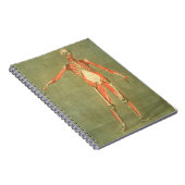 Carnet Un système musculaire plus profond de l'avant du (Côté Droit)