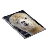 Carnet Un visage mignon et duveteux d'alpaca       (Côté Droit)