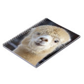 Carnet Un visage mignon et duveteux d'alpaca       (Côté gauche)