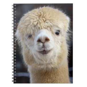 Carnet Un visage mignon et duveteux d'alpaca