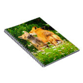 Carnet Une Estampe d'Art de la Nature et de la Faune du B (Côté Droit)