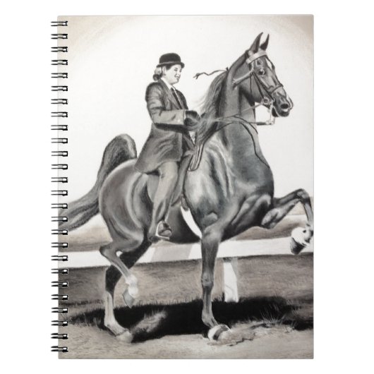 Carnet Une fille et un rêve par Linda Dalziel (Devant)