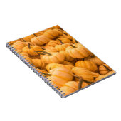 Carnet Une grande quantité de Citrouilles (Côté Droit)