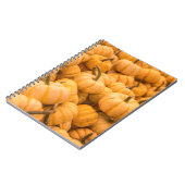 Carnet Une grande quantité de Citrouilles (Côté gauche)