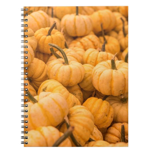 Carnet Une grande quantité de Citrouilles (Devant)
