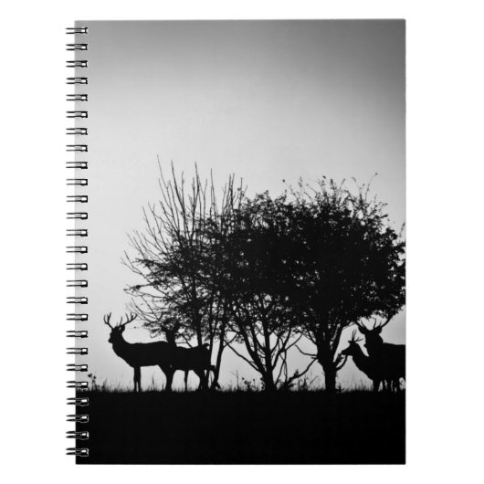 Carnet Une image de quelques cerfs communs dans la brume (Devant)