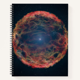 Carnet Une Impression Artiste De Supernova 1993j.
