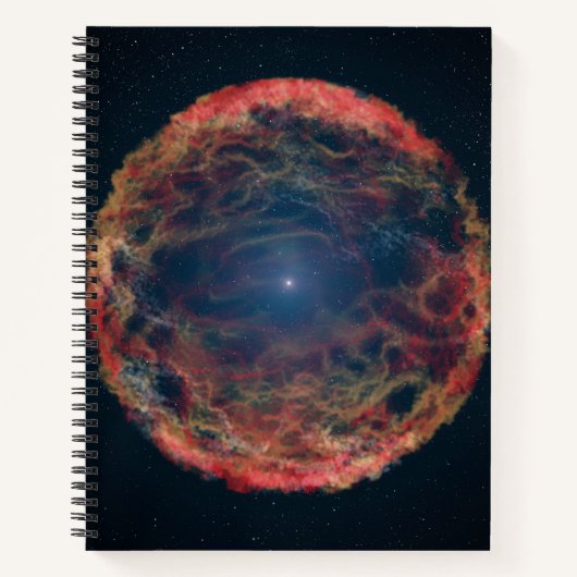 Carnet Une Impression Artiste De Supernova 1993j. (Devant)