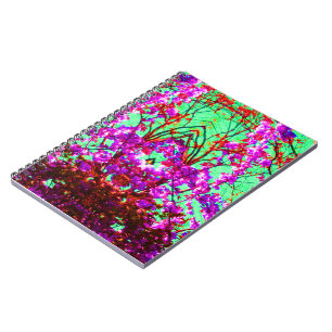 Carnet Une lumière différente