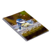 Carnet Une mésange bleue dans la vasque (Côté Droit)