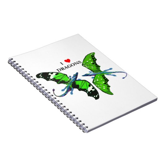 Carnet Une paire de dragons (Côté Droit)