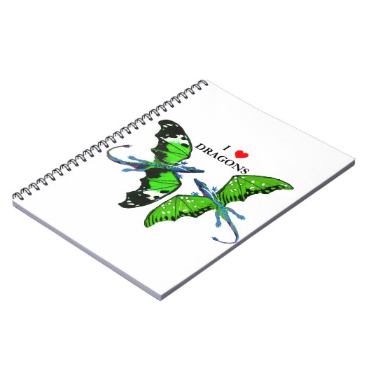 Carnet Une paire de dragons (Côté gauche)