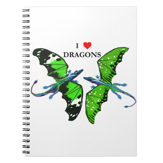 Carnet Une paire de dragons (Devant)