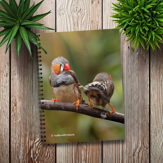 Carnet Une paire de poches de Zebra Finches