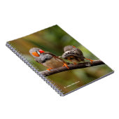 Carnet Une paire de poches de Zebra Finches (Côté Droit)