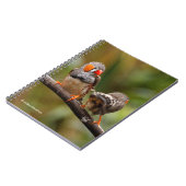 Carnet Une paire de poches de Zebra Finches (Côté gauche)