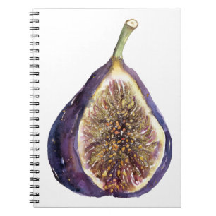 Carnet Une peinture de figue