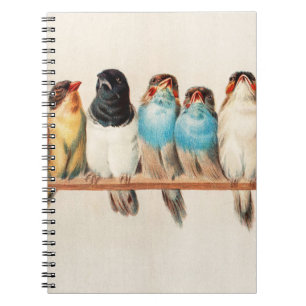 Carnet Une perche d'oiseaux par Hector Giacomelli