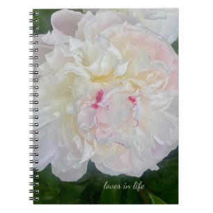 Carnet Une pivoine rousse rêveuse