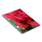 Carnet Une rose rouge (Côté Droit)