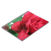 Carnet Une rose rouge (Côté gauche)