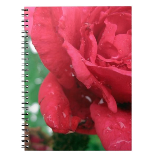 Carnet Une rose rouge (Devant)