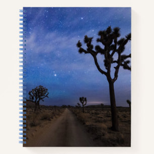 Carnet Une route du désert et des arbres Joshua à la nu