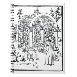 Carnet Une scène de jardin, de "Hypnerotomachia