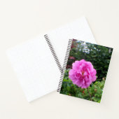 Carnet Une seule fleur rose (Intérieur)