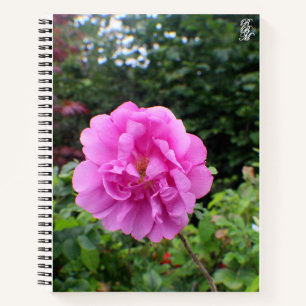 Carnet Une seule fleur rose