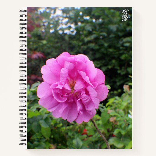 Carnet Une seule fleur rose (Devant)