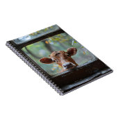 Carnet Une vache curieuse qui regarde à travers une fenêt (Côté Droit)