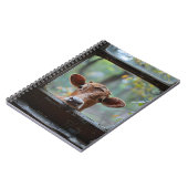 Carnet Une vache curieuse qui regarde à travers une fenêt (Côté gauche)