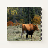 Carnet Une vache et son veau... (Dos)