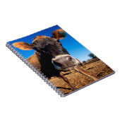 Carnet Une vache Jersey curieuse (Côté Droit)